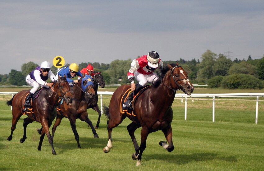 horse race, horse racing, jockey-2714846.jpg